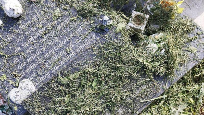 Kegyeletsértés az oroszlányi temetőben: olvasónk által készített felvételen látható a megbotránkoztató esemény.