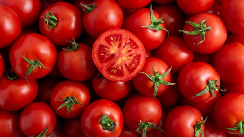 Felforrósodott a zöldségek csatája: Meglepetések sorozata a paradicsompiacon - Agrárszektor